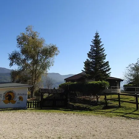 Il Vecchio Olmo * Gagliano Aterno