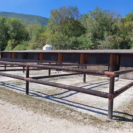 Alpesi faház Il Vecchio Olmo