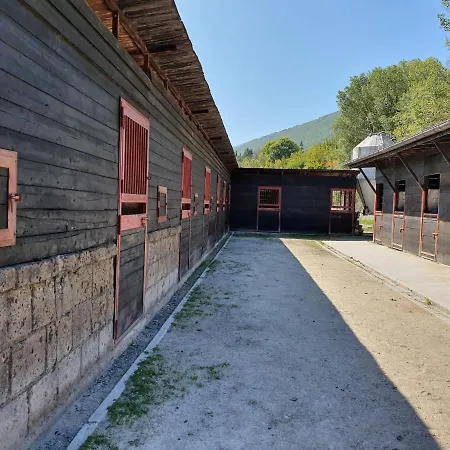 Alpesi faház Il Vecchio Olmo *