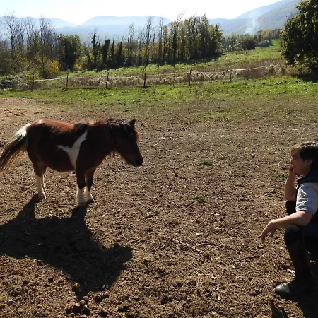 Chalet Il Vecchio Olmo Gagliano Aterno