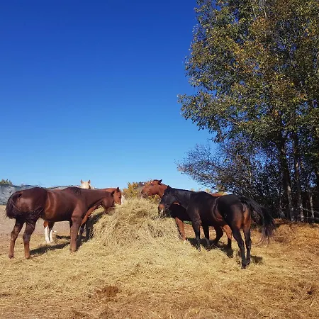 Chalet Il Vecchio Olmo *