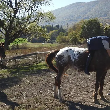 Il Vecchio Olmo * Gagliano Aterno