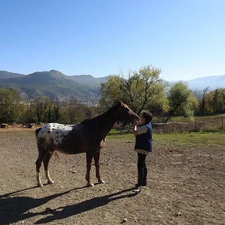 Chalet Il Vecchio Olmo Gagliano Aterno