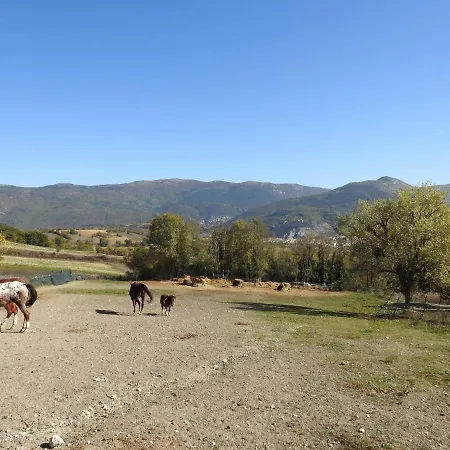 בקתה Il Vecchio Olmo *