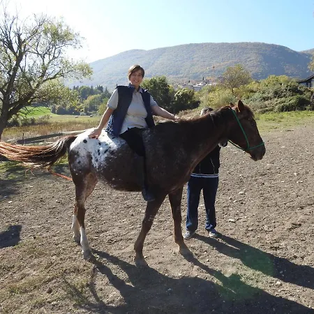 Il Vecchio Olmo Chalet Gagliano Aterno