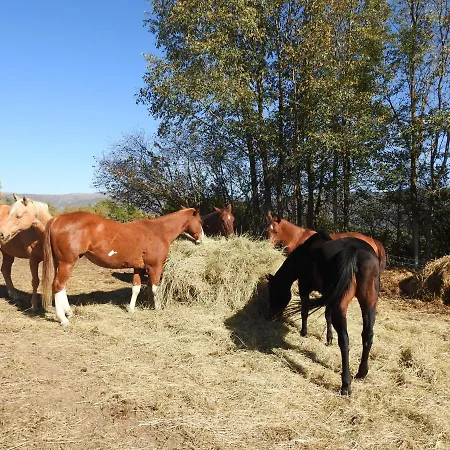 Chalet Il Vecchio Olmo *
