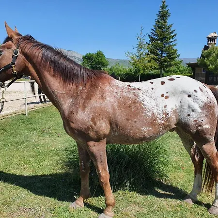 Alpesi faház Il Vecchio Olmo Gagliano Aterno