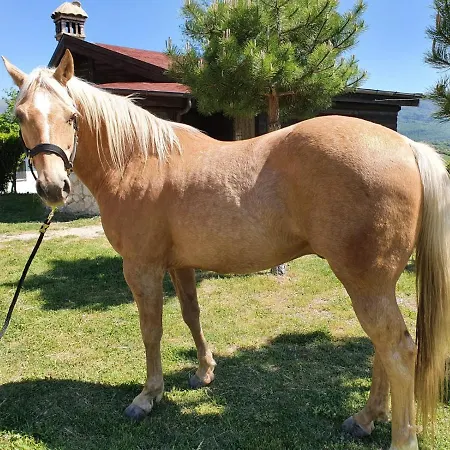Chalet Il Vecchio Olmo *
