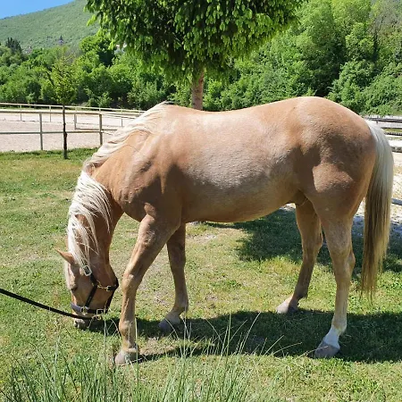 Alpesi faház Il Vecchio Olmo Gagliano Aterno