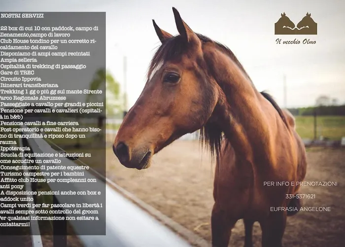 Il Vecchio Olmo Chalet