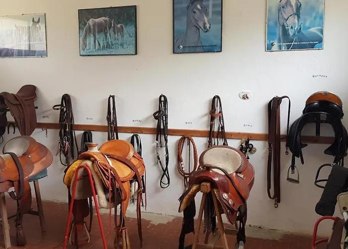 Chalet Il Vecchio Olmo