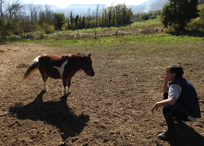 Chalet Il Vecchio Olmo Gagliano Aterno