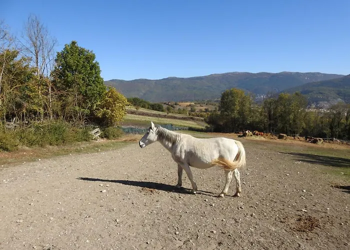 Chalet Il Vecchio Olmo Gagliano Aterno
