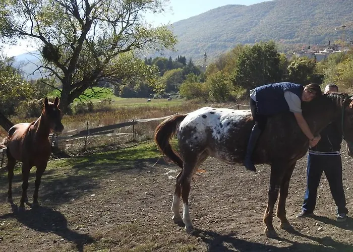 Il Vecchio Olmo * Gagliano Aterno