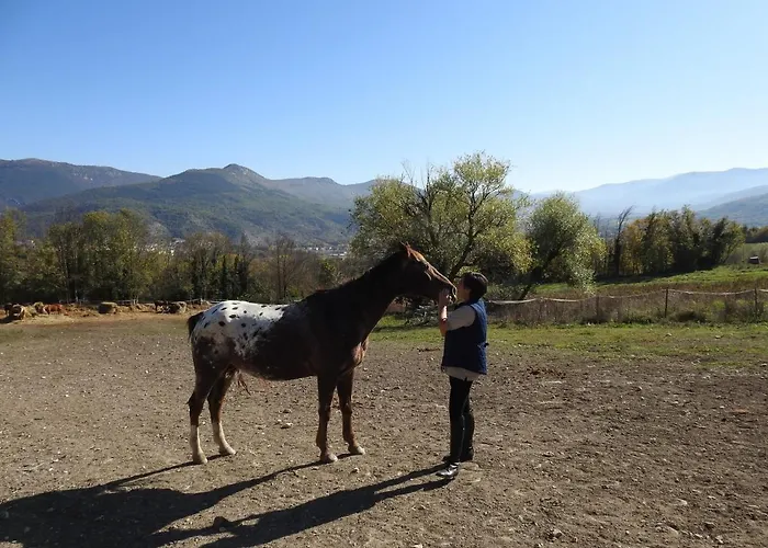 Шале Il Vecchio Olmo Gagliano Aterno