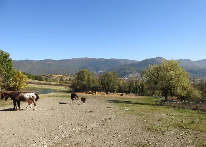 Шале Il Vecchio Olmo *