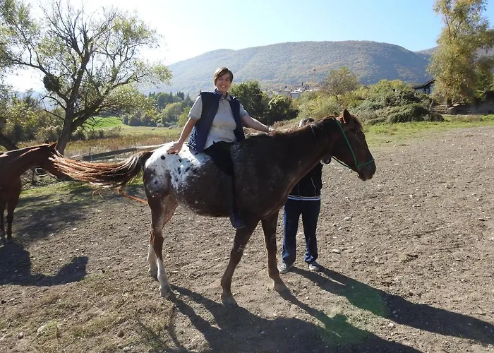 Il Vecchio Olmo Chalet Gagliano Aterno