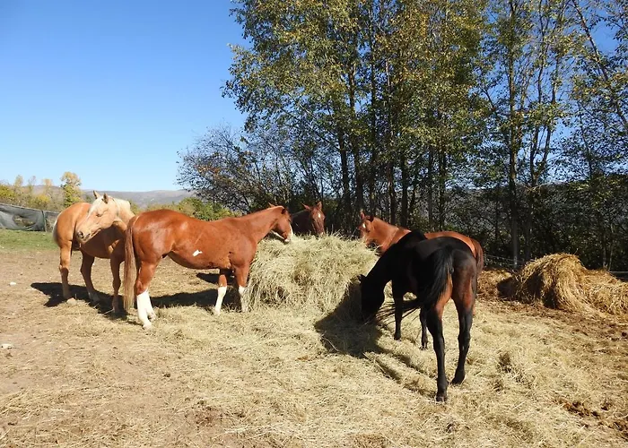 Chalet Il Vecchio Olmo *