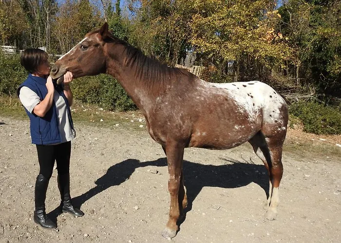 Il Vecchio Olmo Chalet Gagliano Aterno