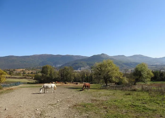 Chalet Il Vecchio Olmo Gagliano Aterno