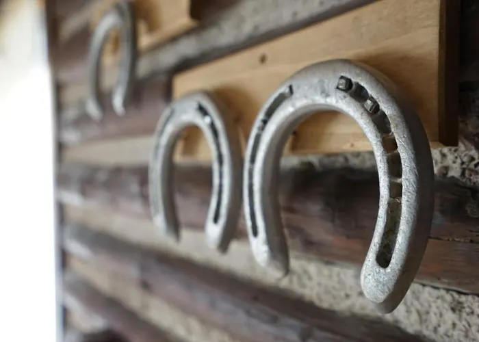 Il Vecchio Olmo Chalet Gagliano Aterno