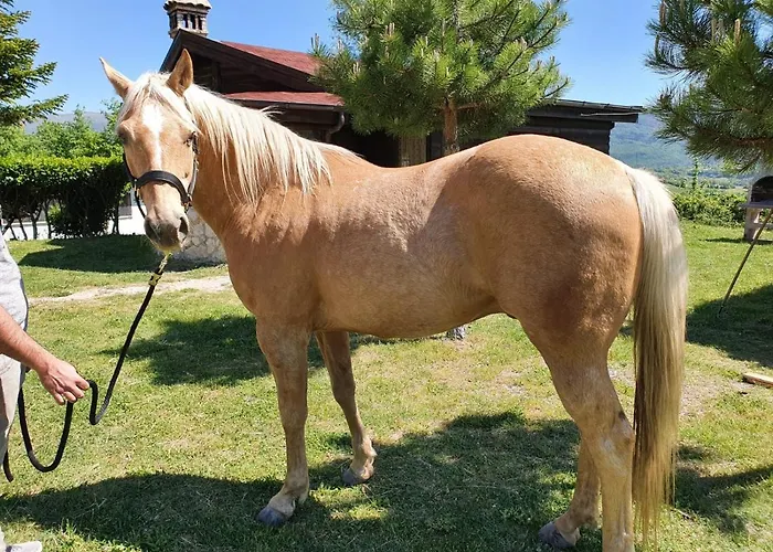 Шале Il Vecchio Olmo *