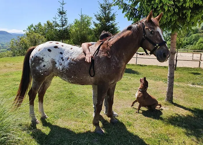 Chalet Il Vecchio Olmo