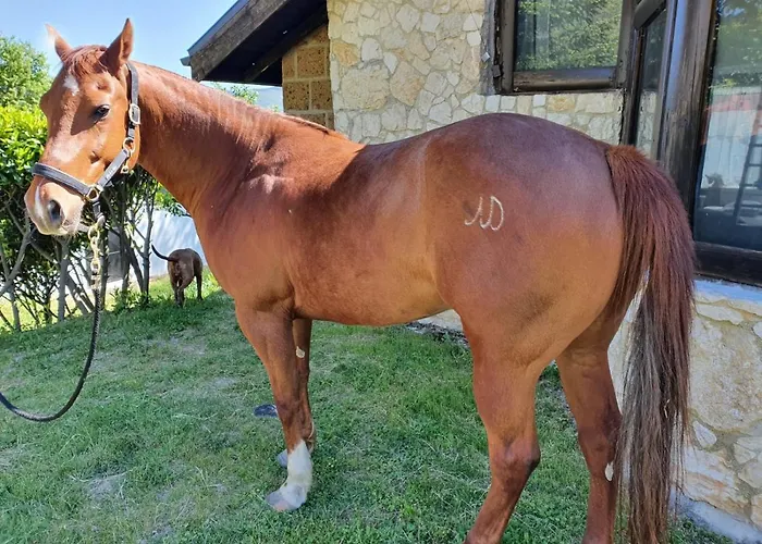 Il Vecchio Olmo Шале